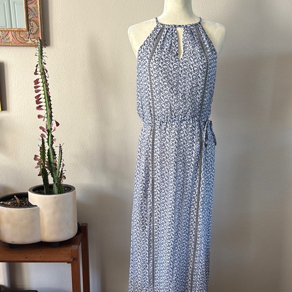 Joie Silk Halter Maxi Dress